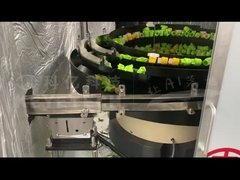 스푸트 캡 분류 기계 짧은 목